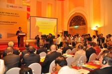 Dong Thap tops Vietnam’s 2012 competitiveness index  - ảnh 1